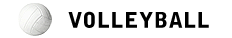 Falleyball plays in a Volleyball league